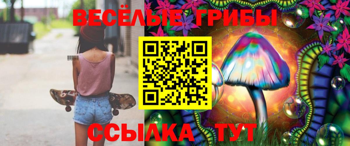 Димитровград  Псилоцибиновые грибы Psilocybine cubensis  Вход с VPN  Галлюциногенные грибы мухоморы 